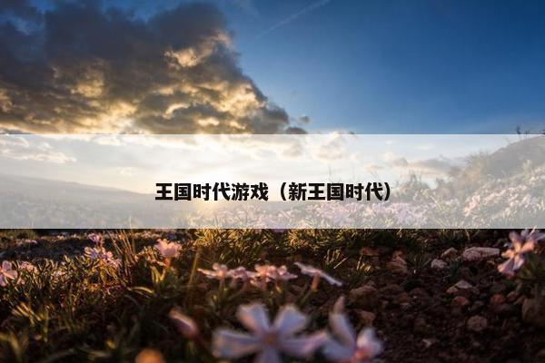 王国时代游戏（新王国时代）