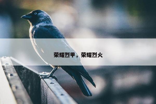 荣耀烈甲，荣耀烈火