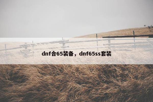 dnf合65装备，dnf65ss套装