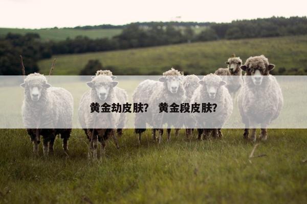 黄金劫皮肤？ 黄金段皮肤？