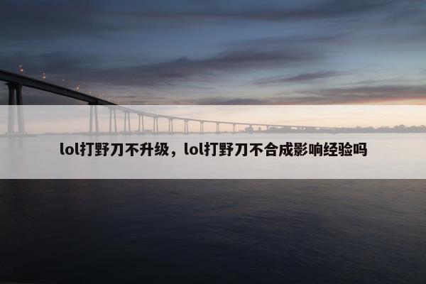 lol打野刀不升级，lol打野刀不合成影响经验吗