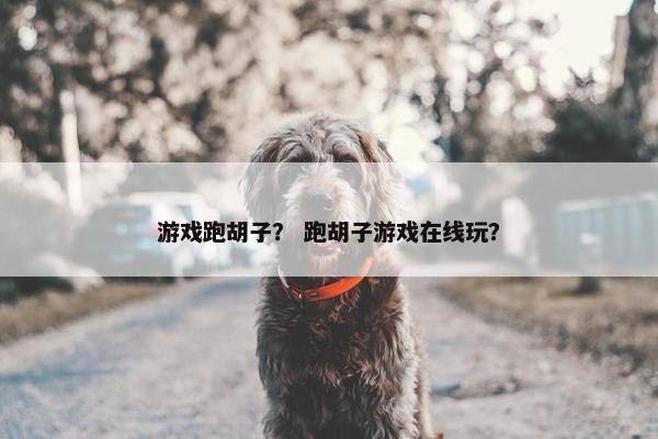 游戏跑胡子？ 跑胡子游戏在线玩？