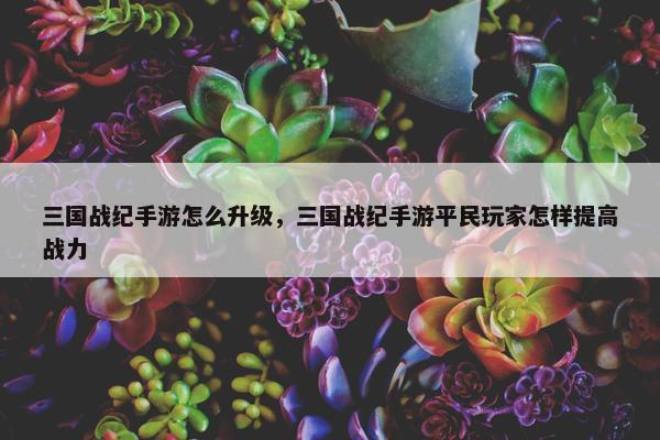 三国战纪手游怎么升级，三国战纪手游平民玩家怎样提高战力