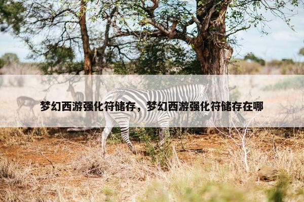 梦幻西游强化符储存，梦幻西游强化符储存在哪