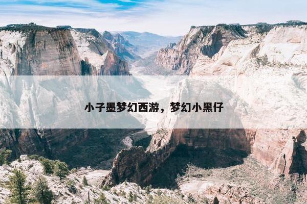 小子墨梦幻西游，梦幻小黑仔
