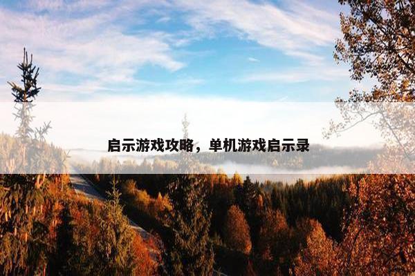 启示游戏攻略，单机游戏启示录