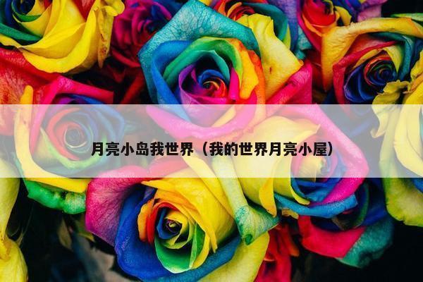 月亮小岛我世界（我的世界月亮小屋）