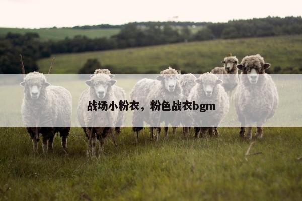 战场小粉衣，粉色战衣bgm