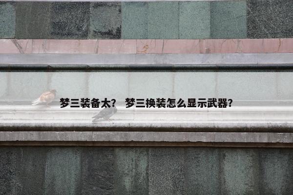 梦三装备太？ 梦三换装怎么显示武器？