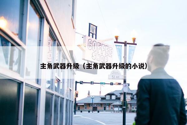 主角武器升级（主角武器升级的小说）