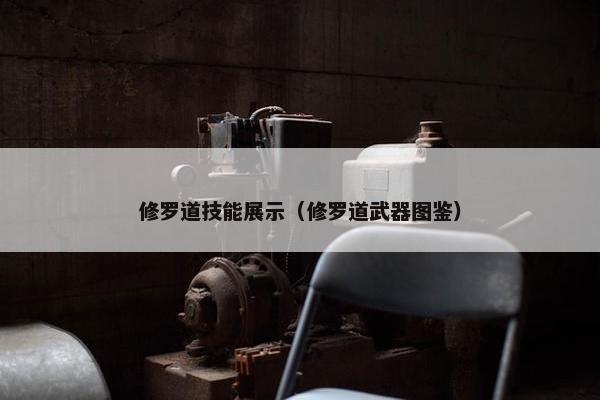 修罗道技能展示（修罗道武器图鉴）