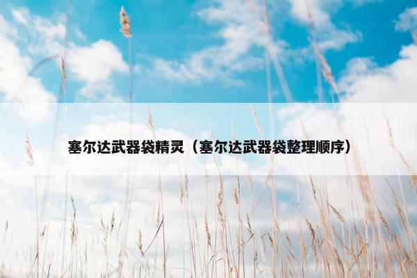 塞尔达武器袋精灵（塞尔达武器袋整理顺序）
