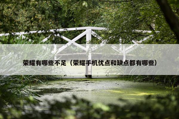 荣耀有哪些不足（荣耀手机优点和缺点都有哪些）