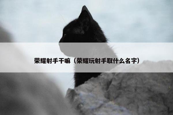 荣耀射手干嘛（荣耀玩射手取什么名字）
