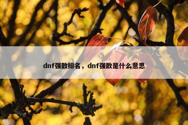 dnf强散排名，dnf强散是什么意思