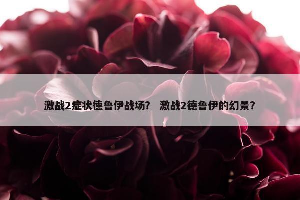 激战2症状德鲁伊战场？ 激战2德鲁伊的幻景？