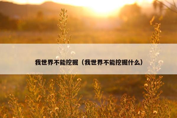 我世界不能挖掘（我世界不能挖掘什么）