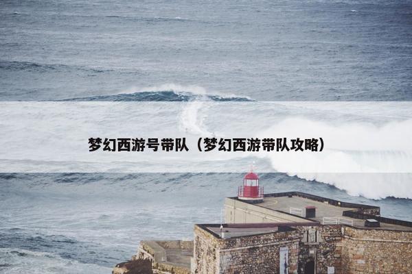 梦幻西游号带队（梦幻西游带队攻略）