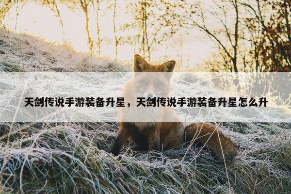 天剑传说手游装备升星，天剑传说手游装备升星怎么升