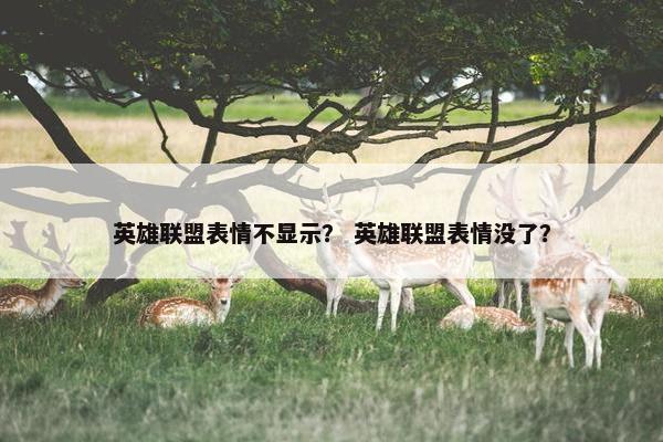 英雄联盟表情不显示？ 英雄联盟表情没了？
