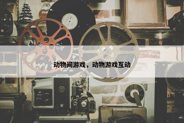 动物间游戏，动物游戏互动