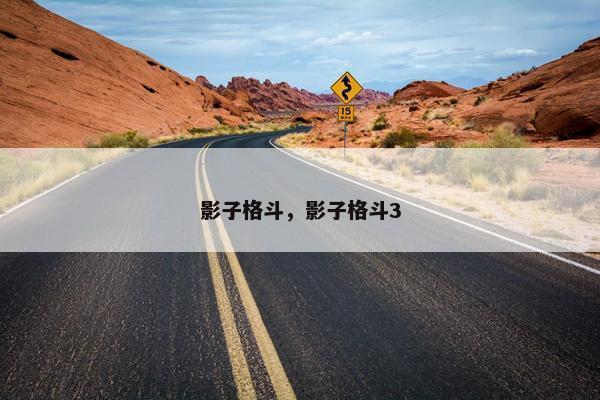 影子格斗，影子格斗3
