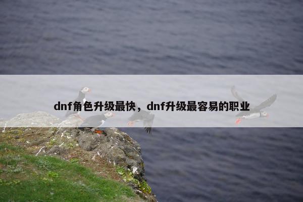 dnf角色升级最快，dnf升级最容易的职业