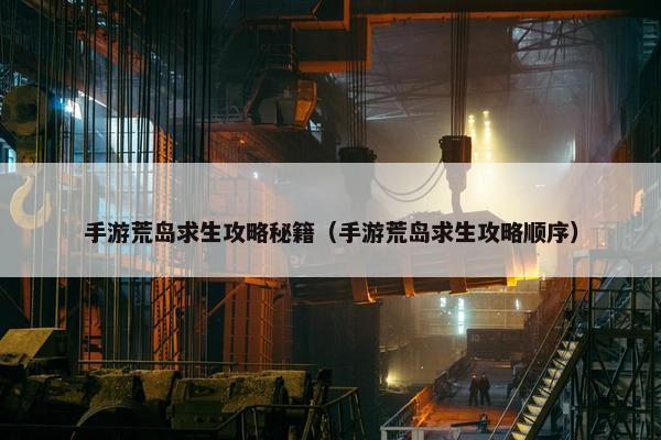 手游荒岛求生攻略秘籍（手游荒岛求生攻略顺序）