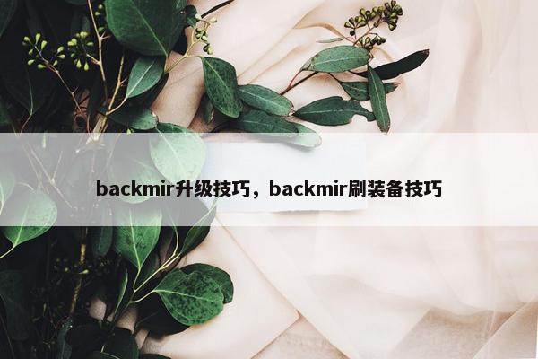 backmir升级技巧，backmir刷装备技巧