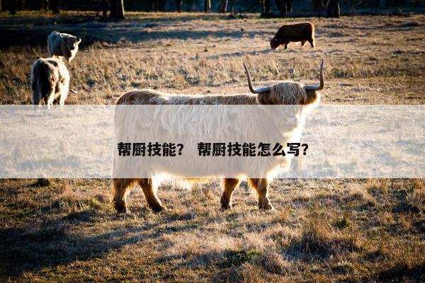 帮厨技能？ 帮厨技能怎么写？
