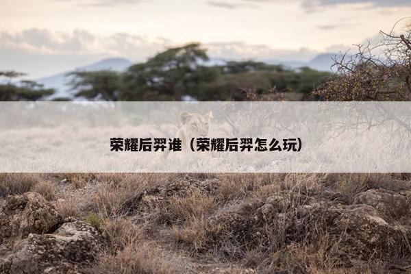 荣耀后羿谁（荣耀后羿怎么玩）
