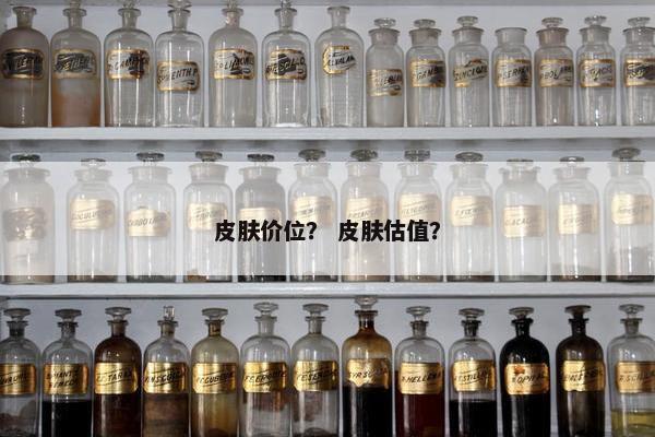 皮肤价位？ 皮肤估值？