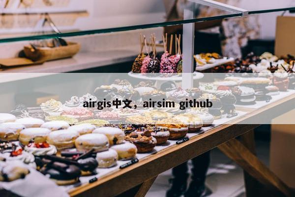airgis中文，airsim github