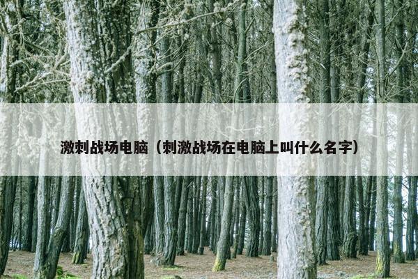 激刺战场电脑（刺激战场在电脑上叫什么名字）
