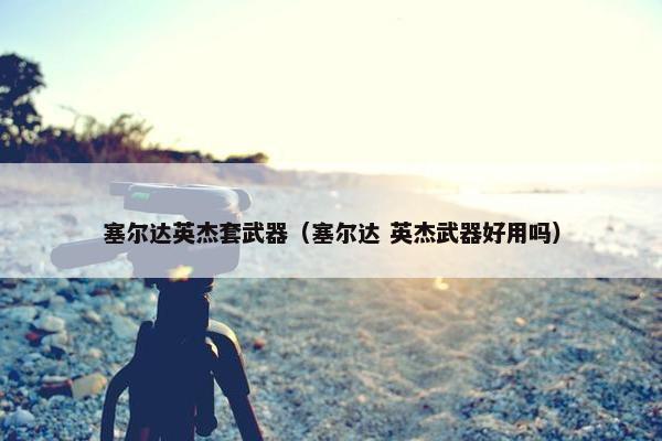 塞尔达英杰套武器（塞尔达 英杰武器好用吗）