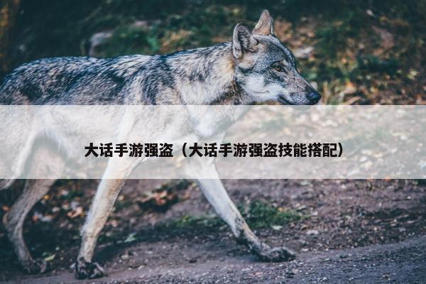 大话手游强盗（大话手游强盗技能搭配）