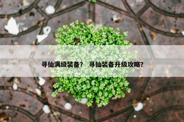 寻仙满级装备？ 寻仙装备升级攻略？