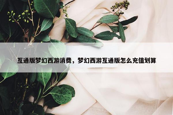 互通版梦幻西游消费，梦幻西游互通版怎么充值划算
