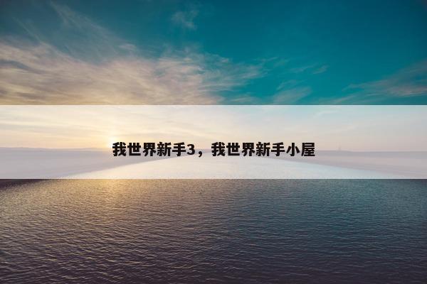 我世界新手3，我世界新手小屋