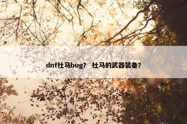 dnf杜马bug？ 杜马的武器装备？