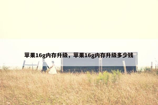 苹果16g内存升级，苹果16g内存升级多少钱