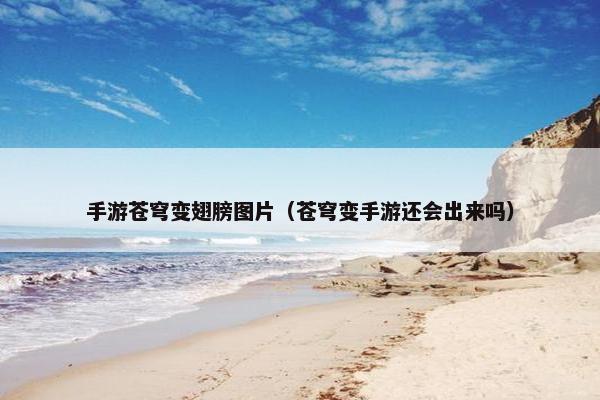 手游苍穹变翅膀图片（苍穹变手游还会出来吗）