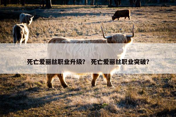 死亡爱丽丝职业升级？ 死亡爱丽丝职业突破？