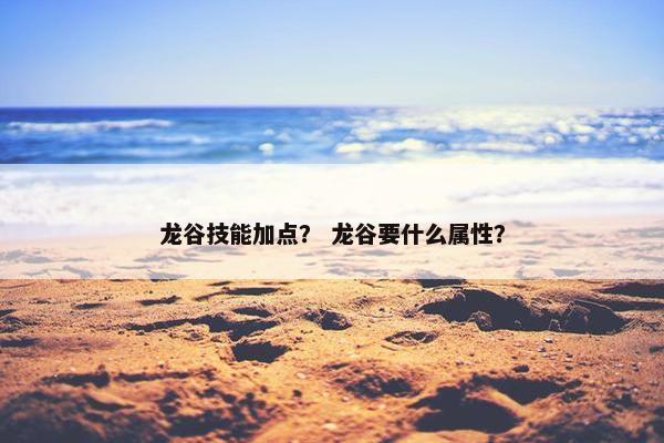 龙谷技能加点？ 龙谷要什么属性？