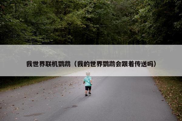 我世界联机鹦鹉（我的世界鹦鹉会跟着传送吗）
