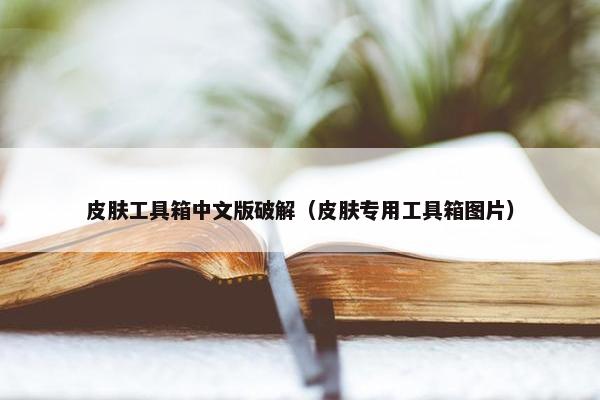 皮肤工具箱中文版破解（皮肤专用工具箱图片）