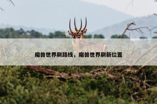 魔兽世界刷路线，魔兽世界刷新位置