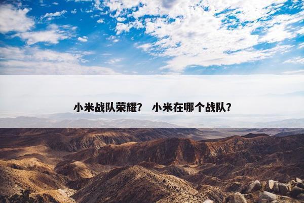 小米战队荣耀？ 小米在哪个战队？