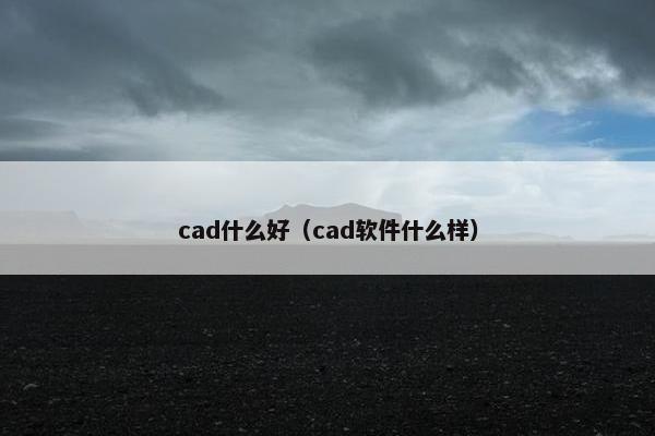 cad什么好（cad软件什么样）