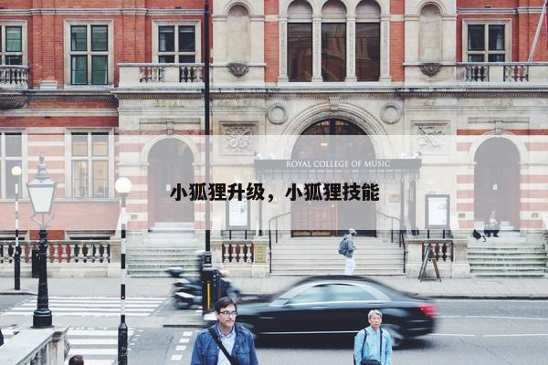 小狐狸升级，小狐狸技能